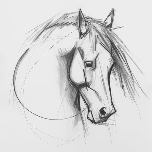 Tekening van een paard Tekening van een paard