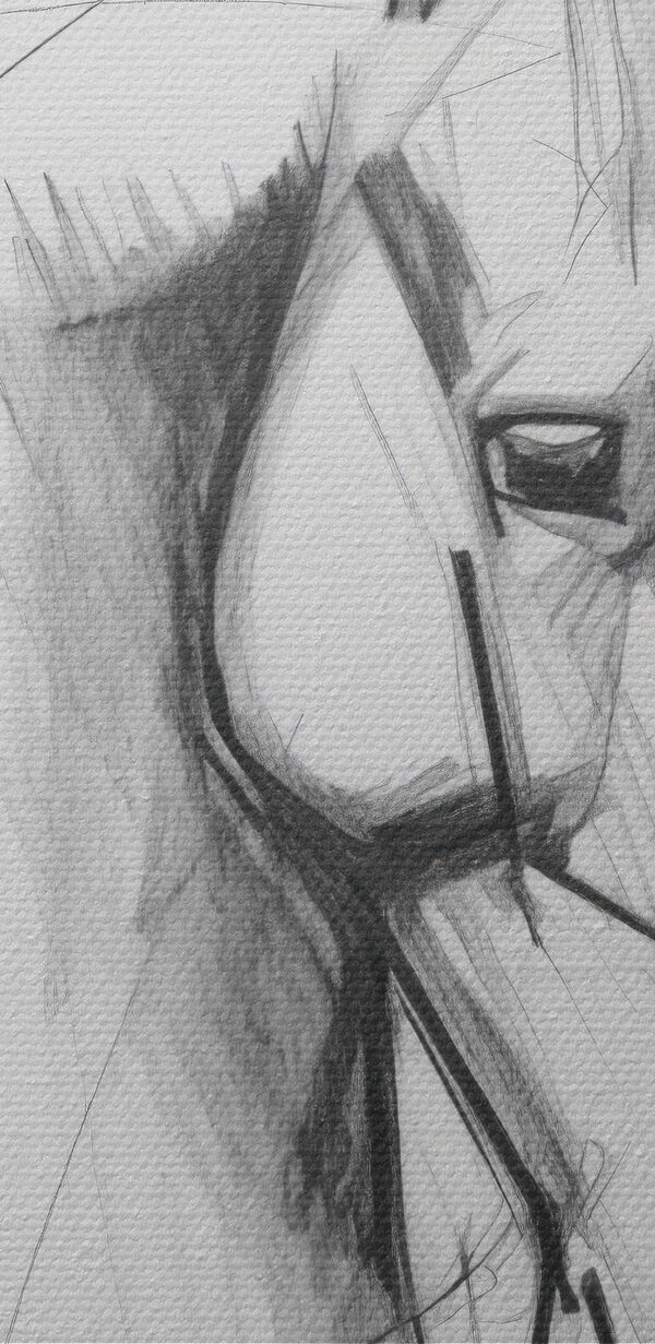 Tekening van een paard Tekening van een paard