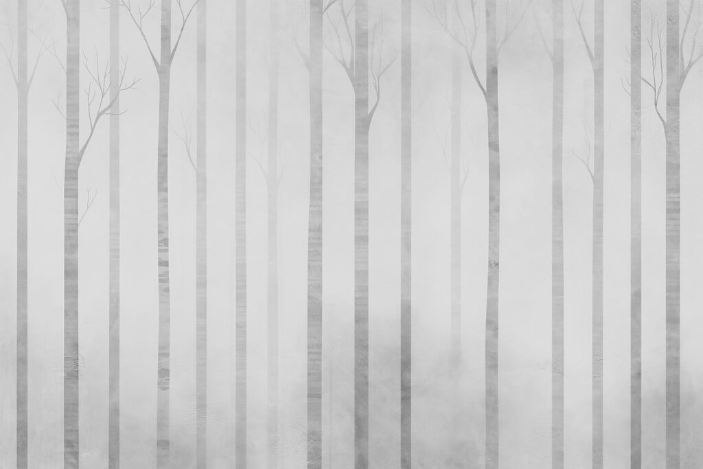 Groep bomen in mist Groep bomen in mist