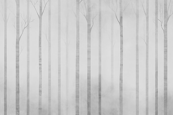 Groep bomen in mist Groep bomen in mist