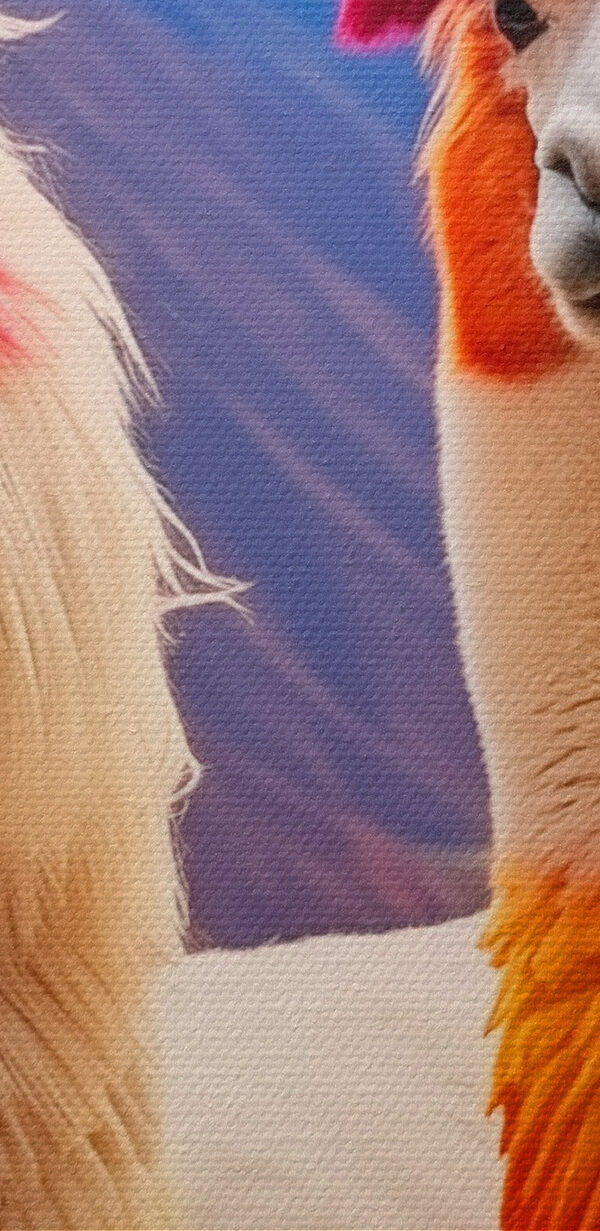 Twee lama's met regenboogkleurig haar Twee lama's met regenboogkleurig haar