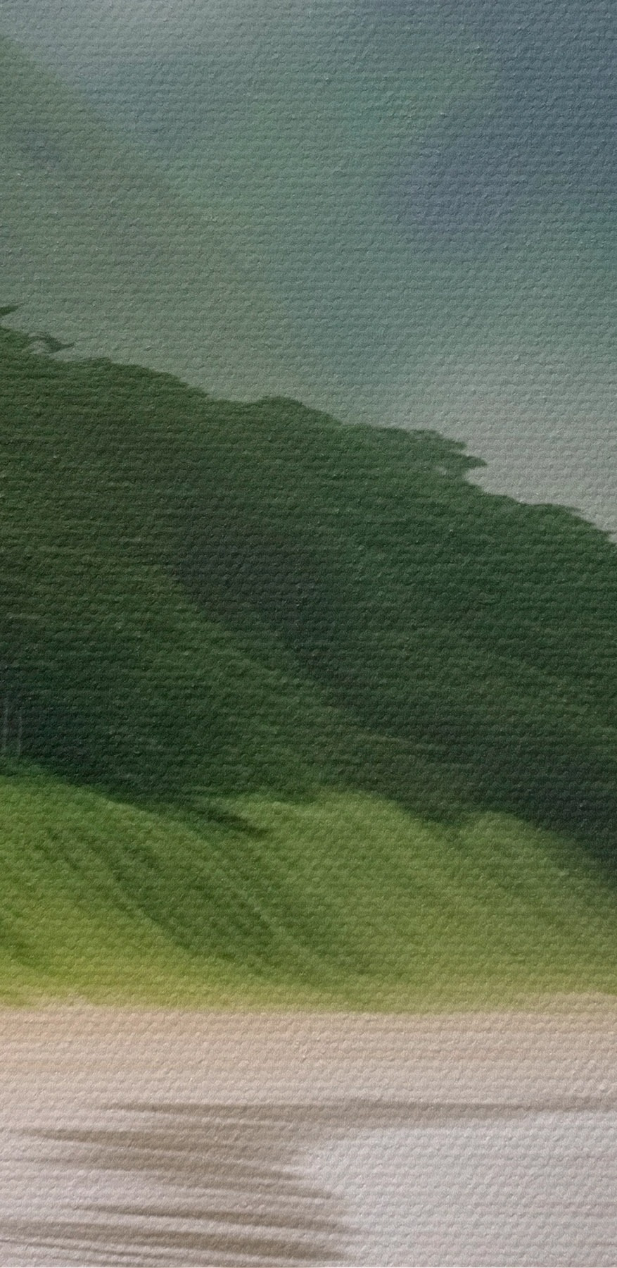 Strand met bomen en bergen