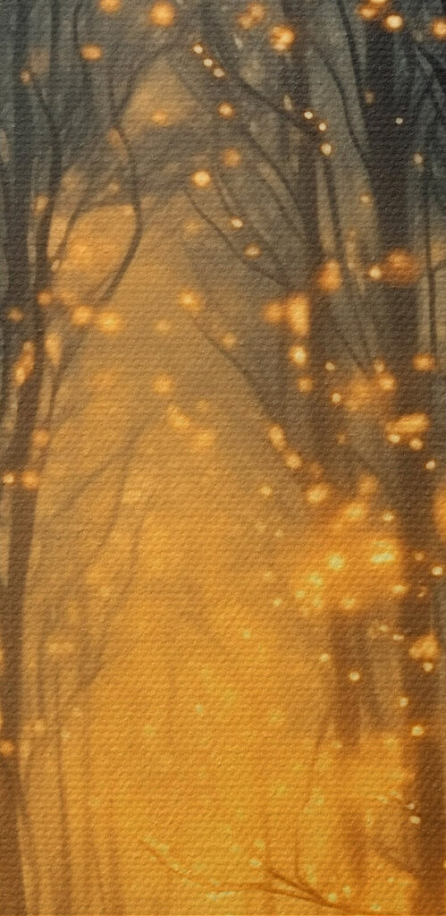 Path through a forest with many trees with lights