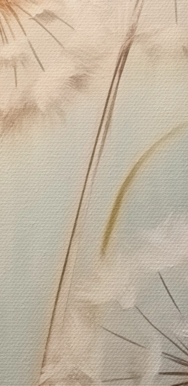 Schilderij van paardenbloemen Schilderij van paardenbloemen