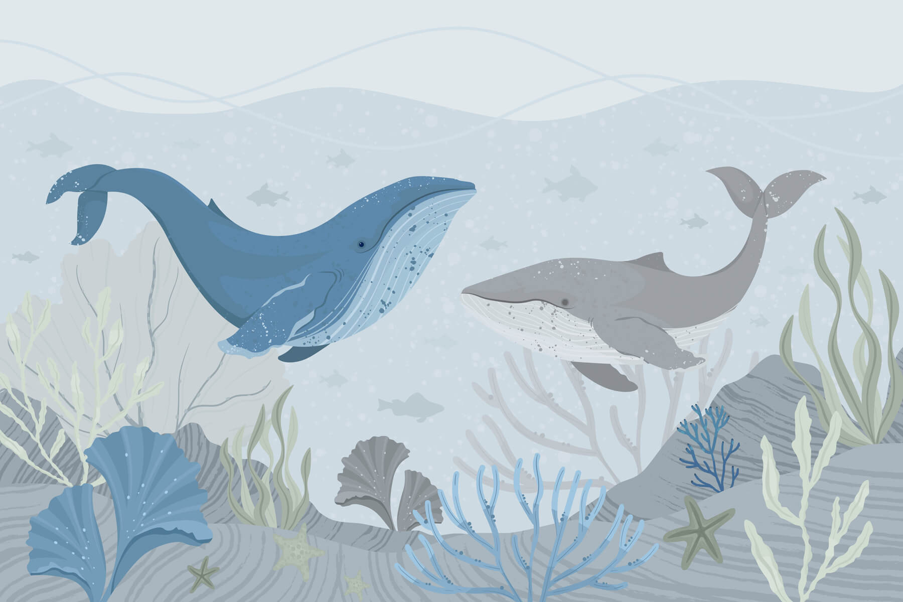 Whale and whale swimming in the ocean Whale and whale swimming in the ocean