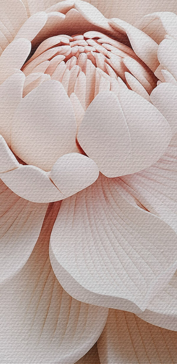Witte bloem met bladeren Witte bloem met bladeren