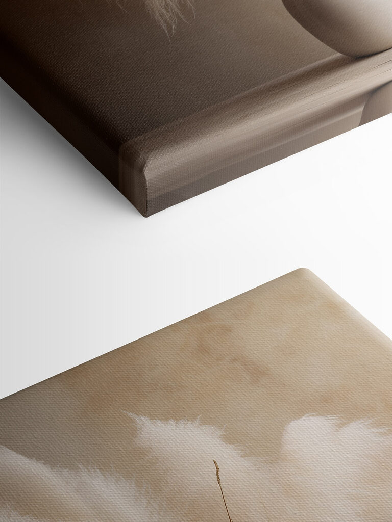 White vase with fluffy flowers White vase with fluffy flowers