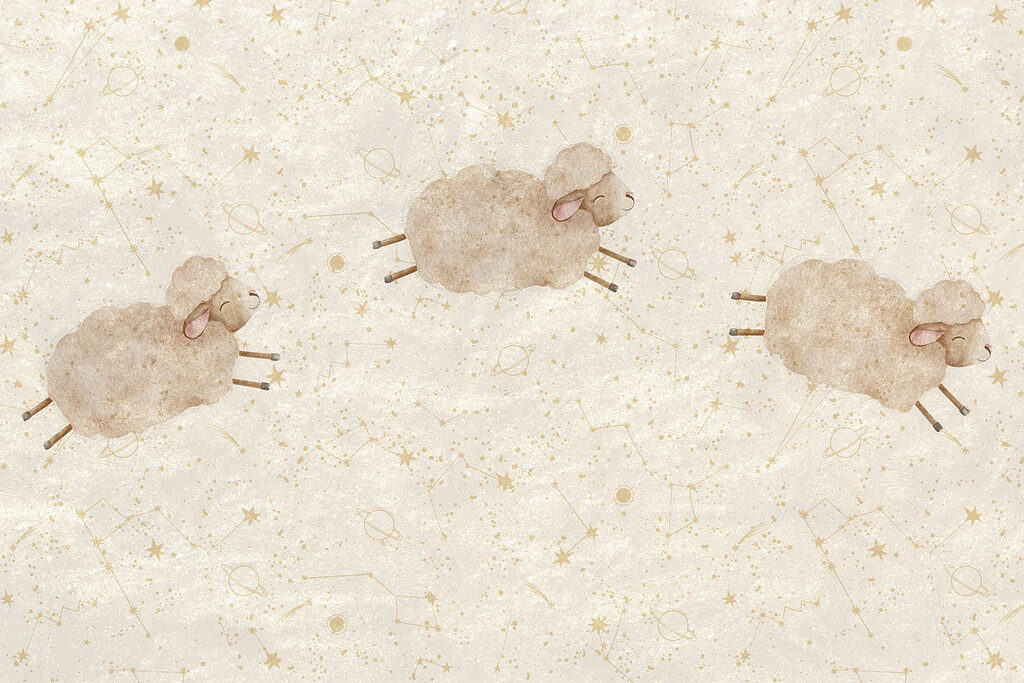 Groep schapen op witte achtergrond Groep schapen op witte achtergrond