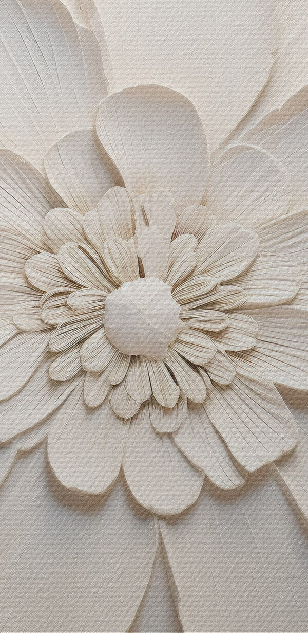 Witte bloem met veel bloemblaadjes Witte bloem met veel bloemblaadjes