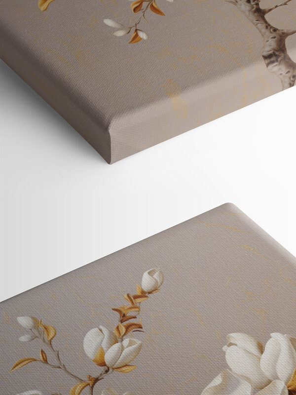 Witte bloemen aan een tak Witte bloemen aan een tak