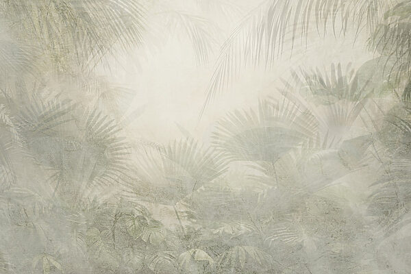 Witte achtergrond met palmbladeren Witte achtergrond met palmbladeren