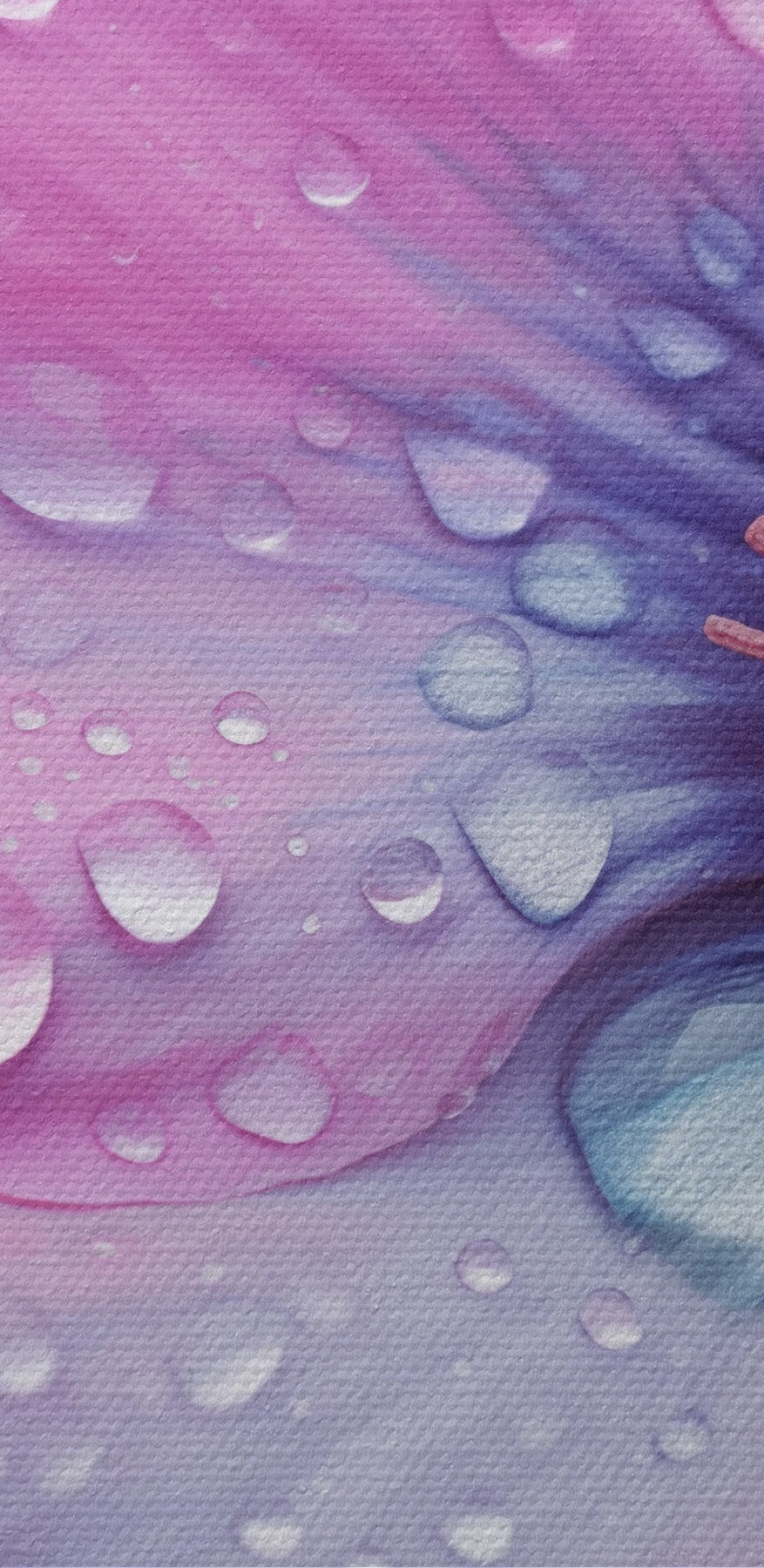Delicate bloemen versierd met waterdruppels