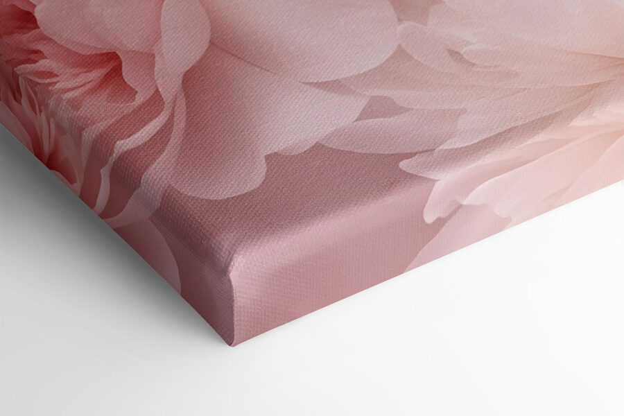 Groep roze bloemen