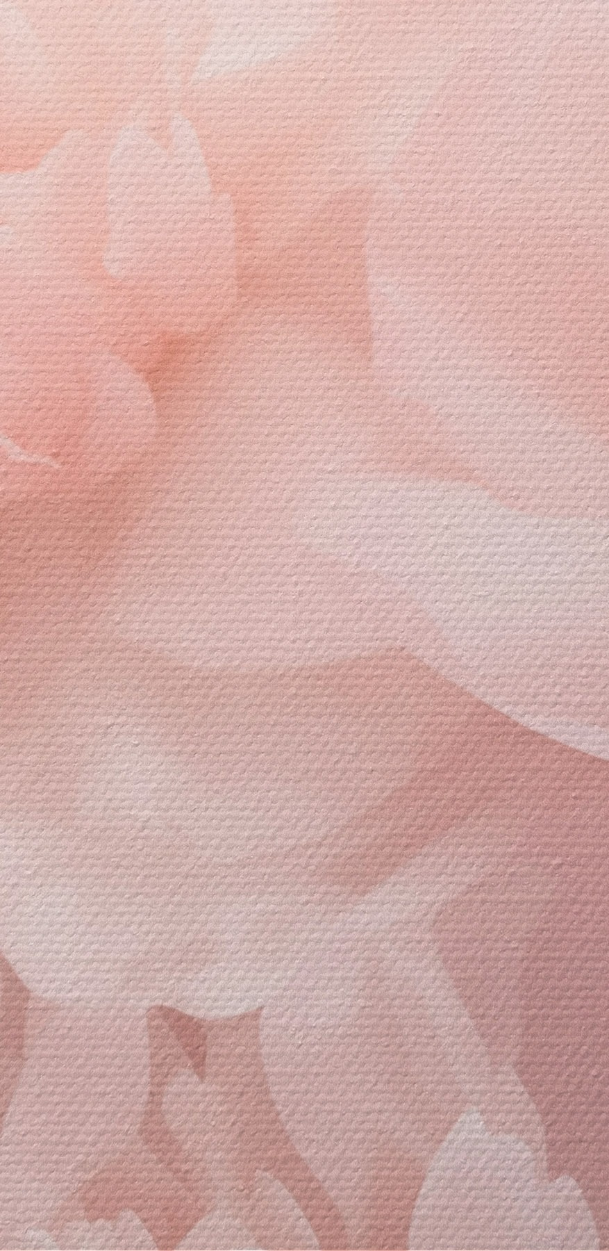 Groep roze bloemen