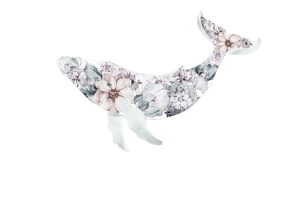 Walvis met bloemen erop Walvis met bloemen erop