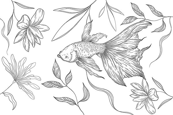 Zwart-wit tekening van een vis en planten Zwart-wit tekening van een vis en planten