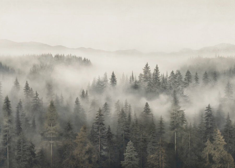 Bos met mist en bergen