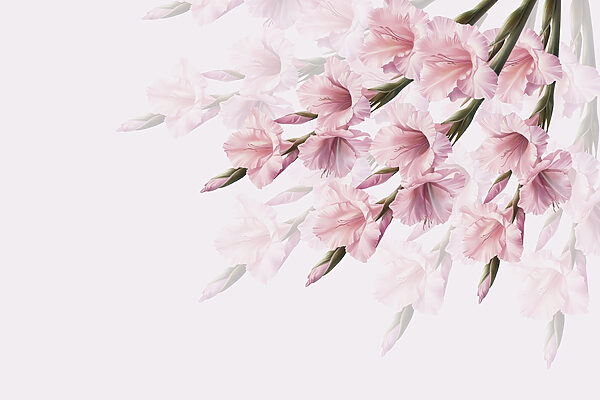 Groep roze bloemen Groep roze bloemen