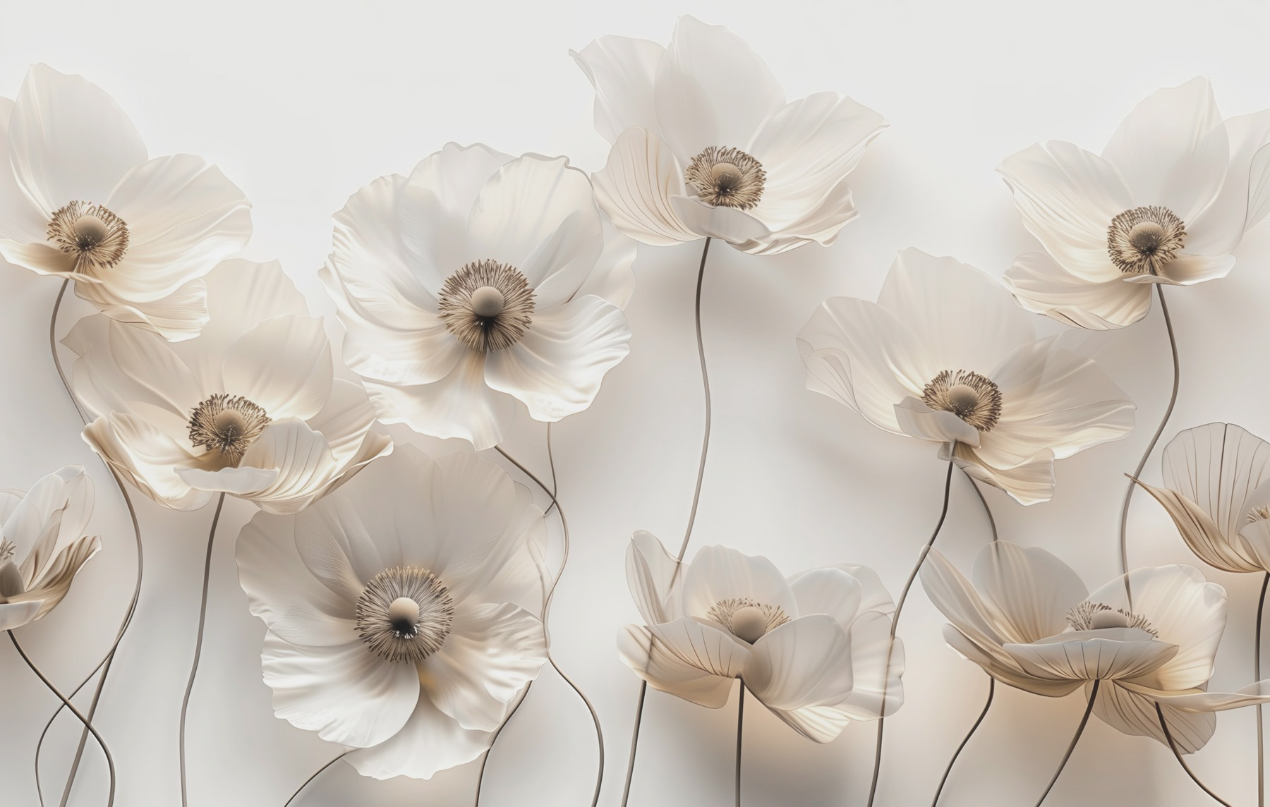 Groep witte bloemen w03518p - Groep witte bloemen