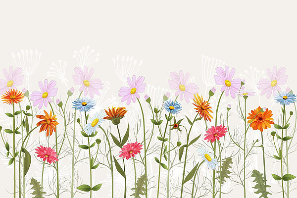 Rij kleurrijke bloemen Rij kleurrijke bloemen