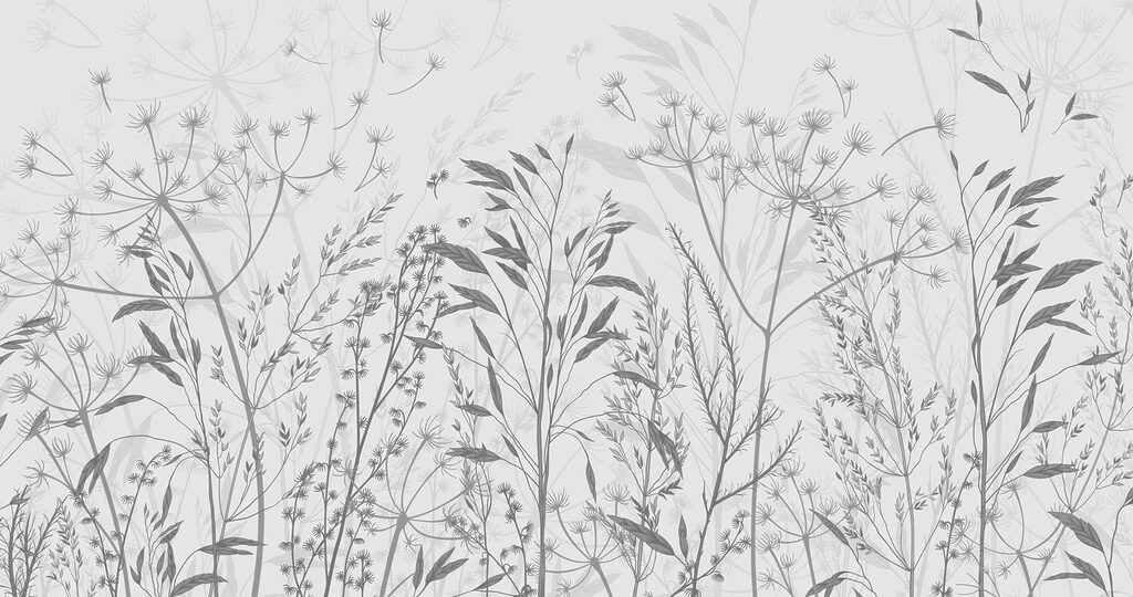 Delicate silhouetten van natuur’s schoonheid Delicate silhouetten van natuur’s schoonheid