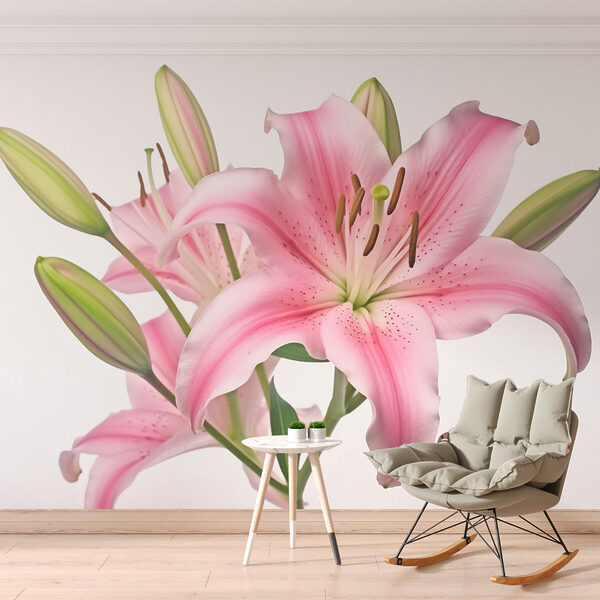Roze lelie met knoppen Roze lelie met knoppen