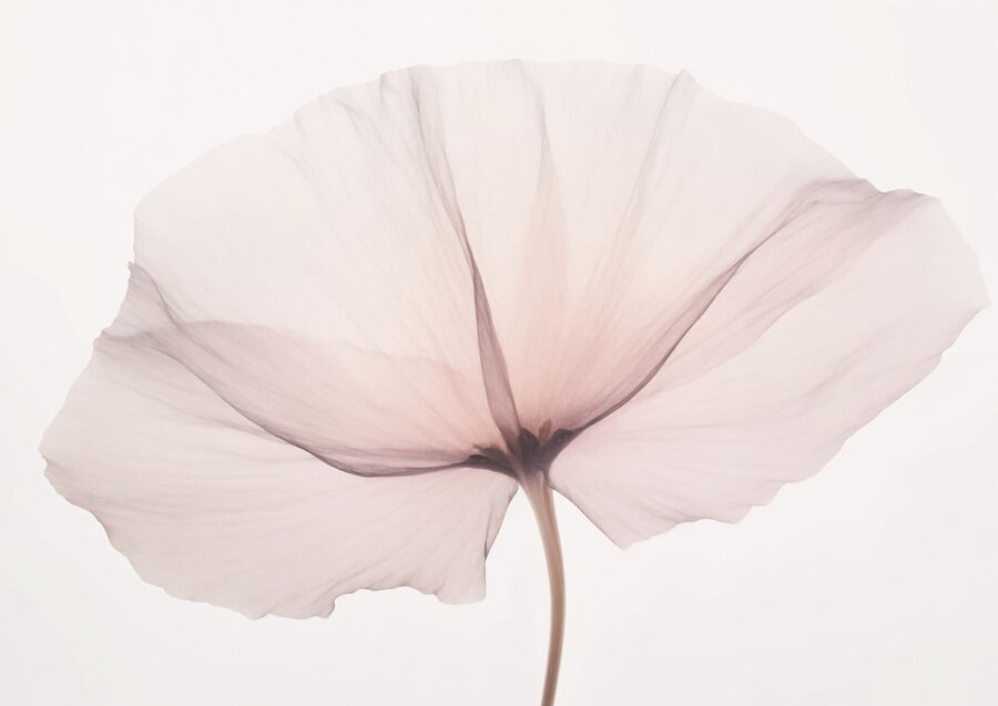 Delicate bloei op een zachte achtergrond