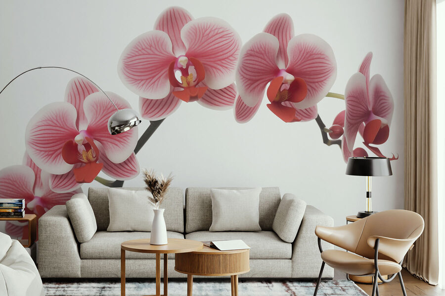 Delicate orchideeën in zachte bloei
