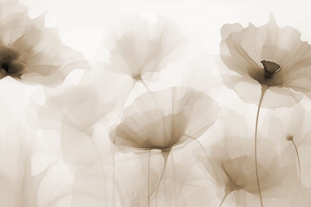 Groep bloemen op witte achtergrond Groep bloemen op witte achtergrond