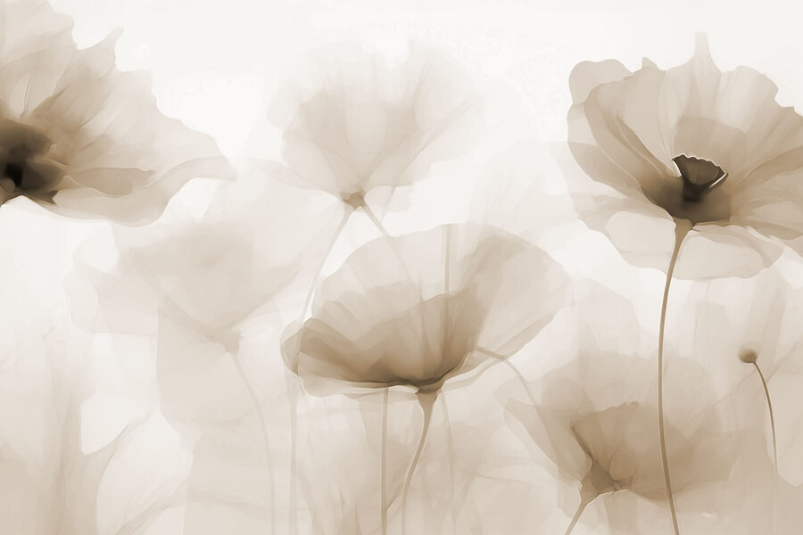 Groep bloemen op witte achtergrond