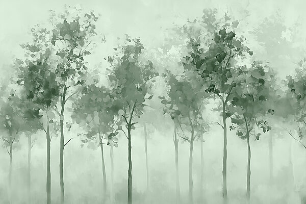 Groep bomen in mist Groep bomen in mist
