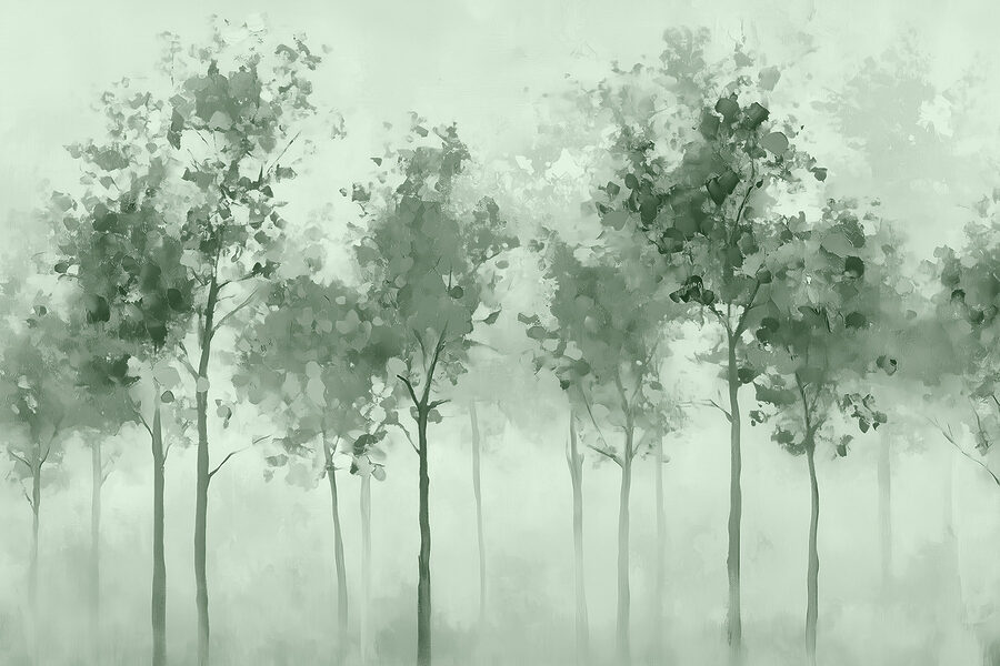 Groep bomen in mist Groep bomen in mist