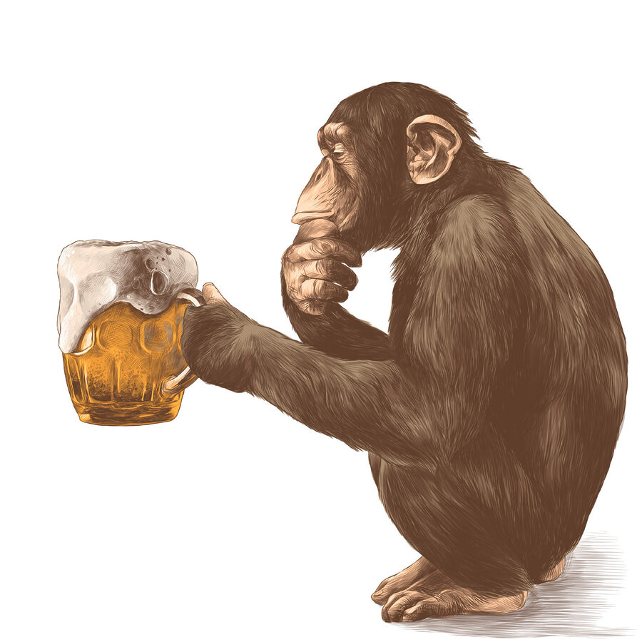 Aap met een pul bier Aap met een pul bier