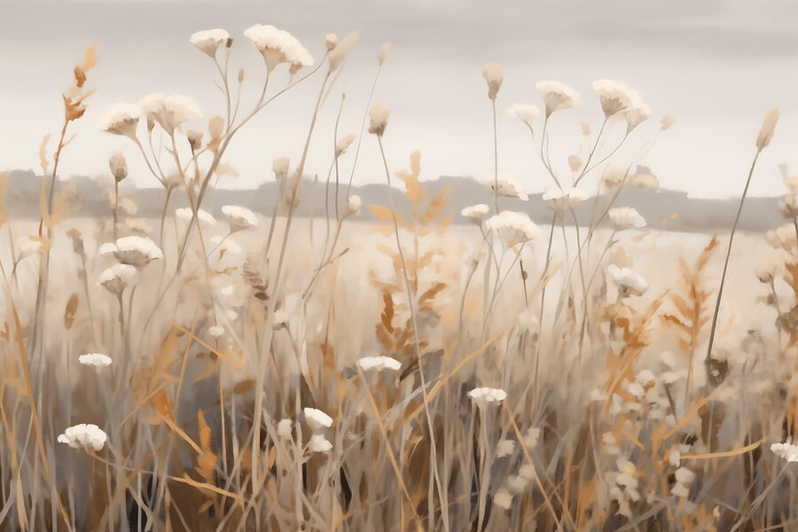 Veld met bloemen en gras