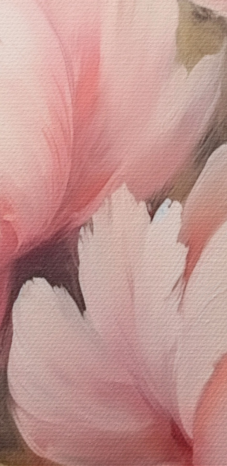 Schilderij van roze bloemen