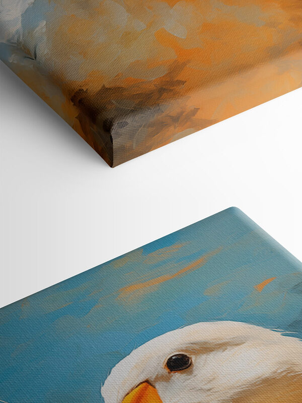 Pair of white ducks with orange beaks