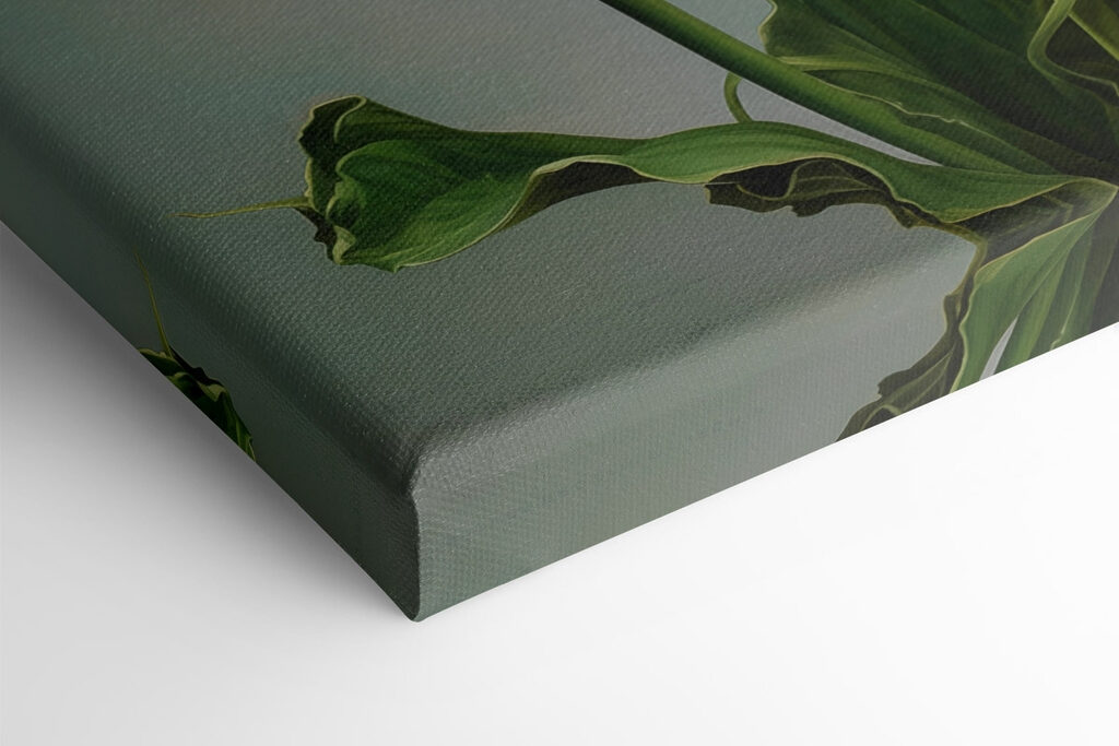 Elegant white blooms in soft light