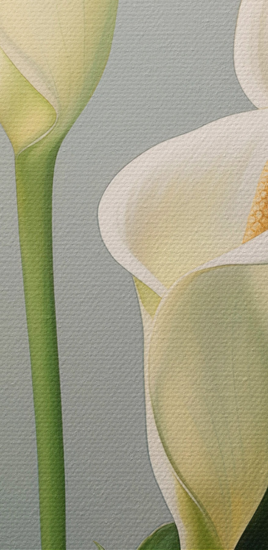 Elegante witte bloemen in zacht licht