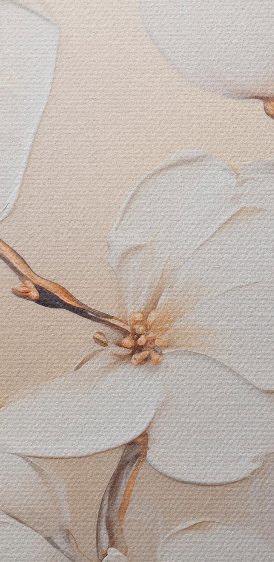 Schilderij van witte bloemen