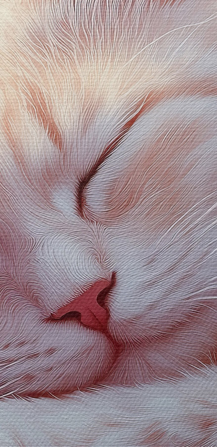Slapende kat in een bloembed