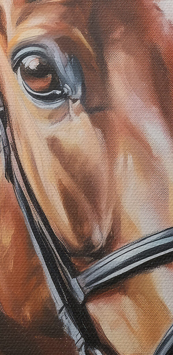 Schilderij van een paard Schilderij van een paard