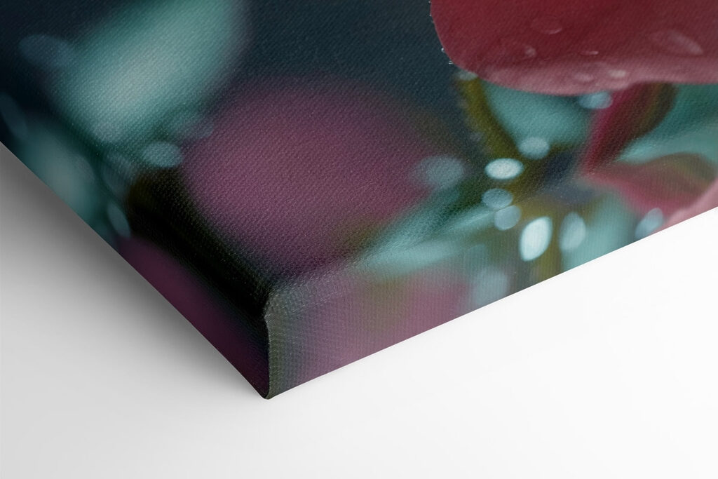 Delicate petals after a gentle rain