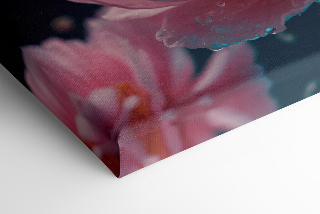 Delicate petals in tranquil water