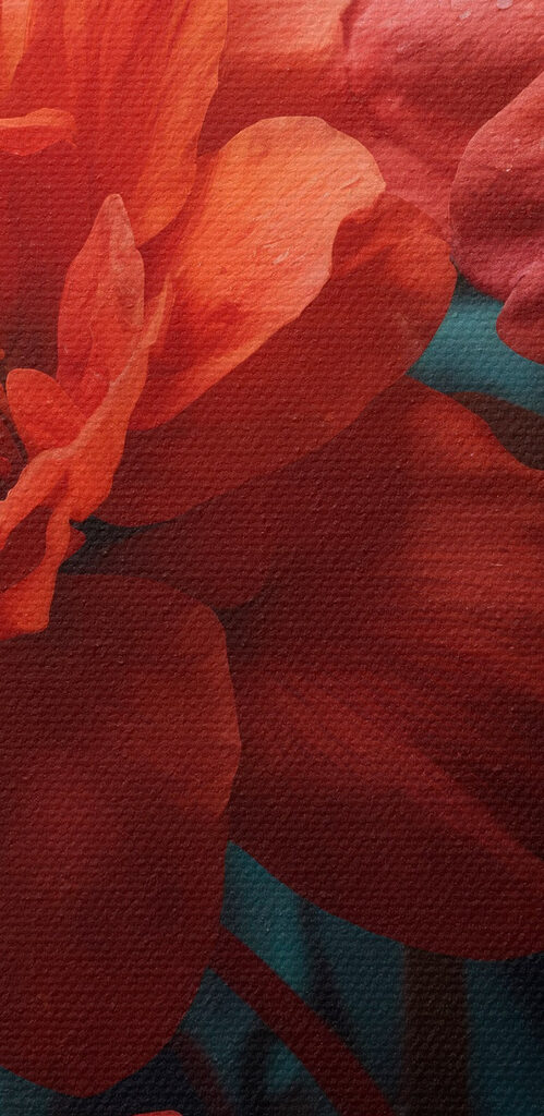 Group of red flowers