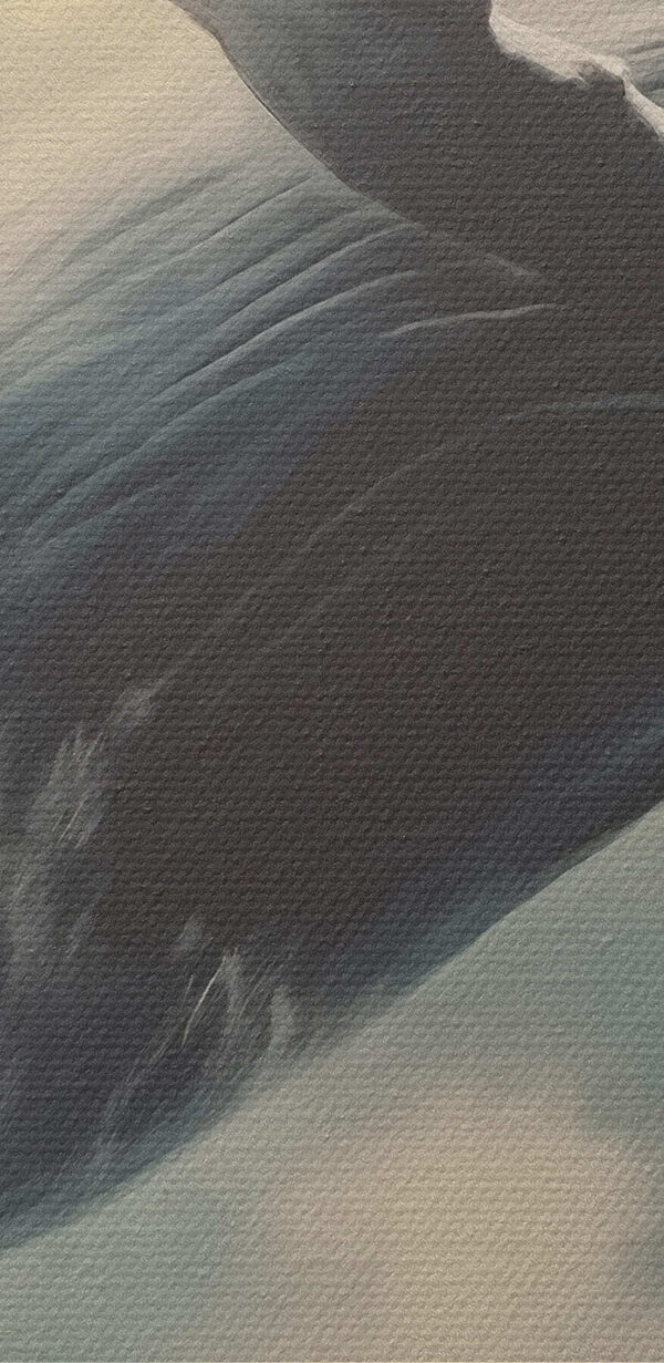 Whale jumping out of the water