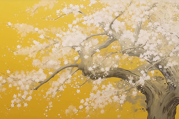 Tree with white flowers on it Tree with white flowers on it
