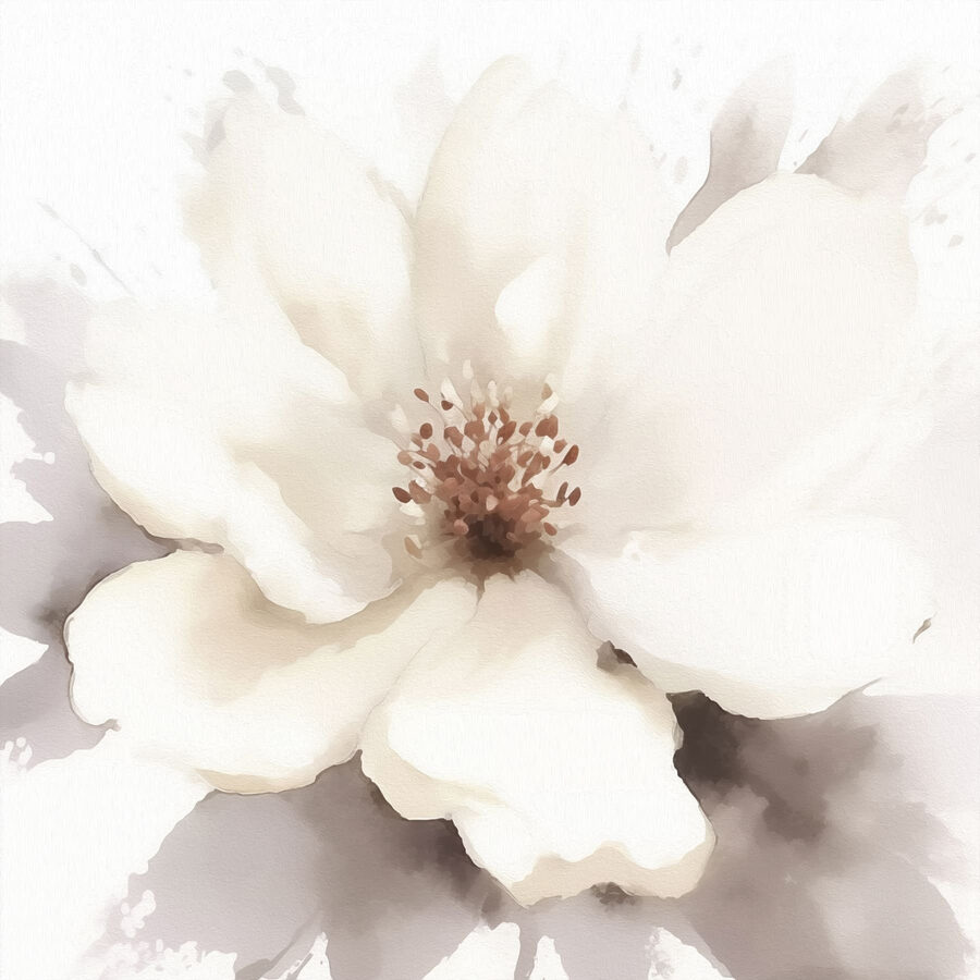Witte bloem met bruin hart