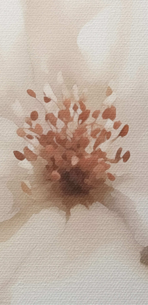 Witte bloem met bruin hart Witte bloem met bruin hart