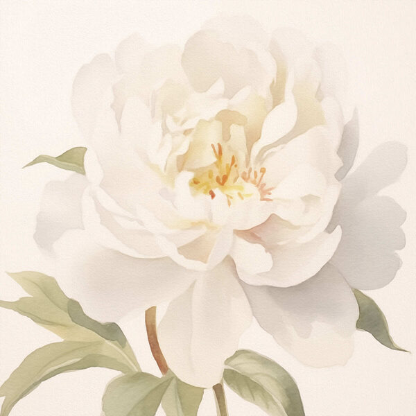 Witte bloem met groene bladeren Witte bloem met groene bladeren