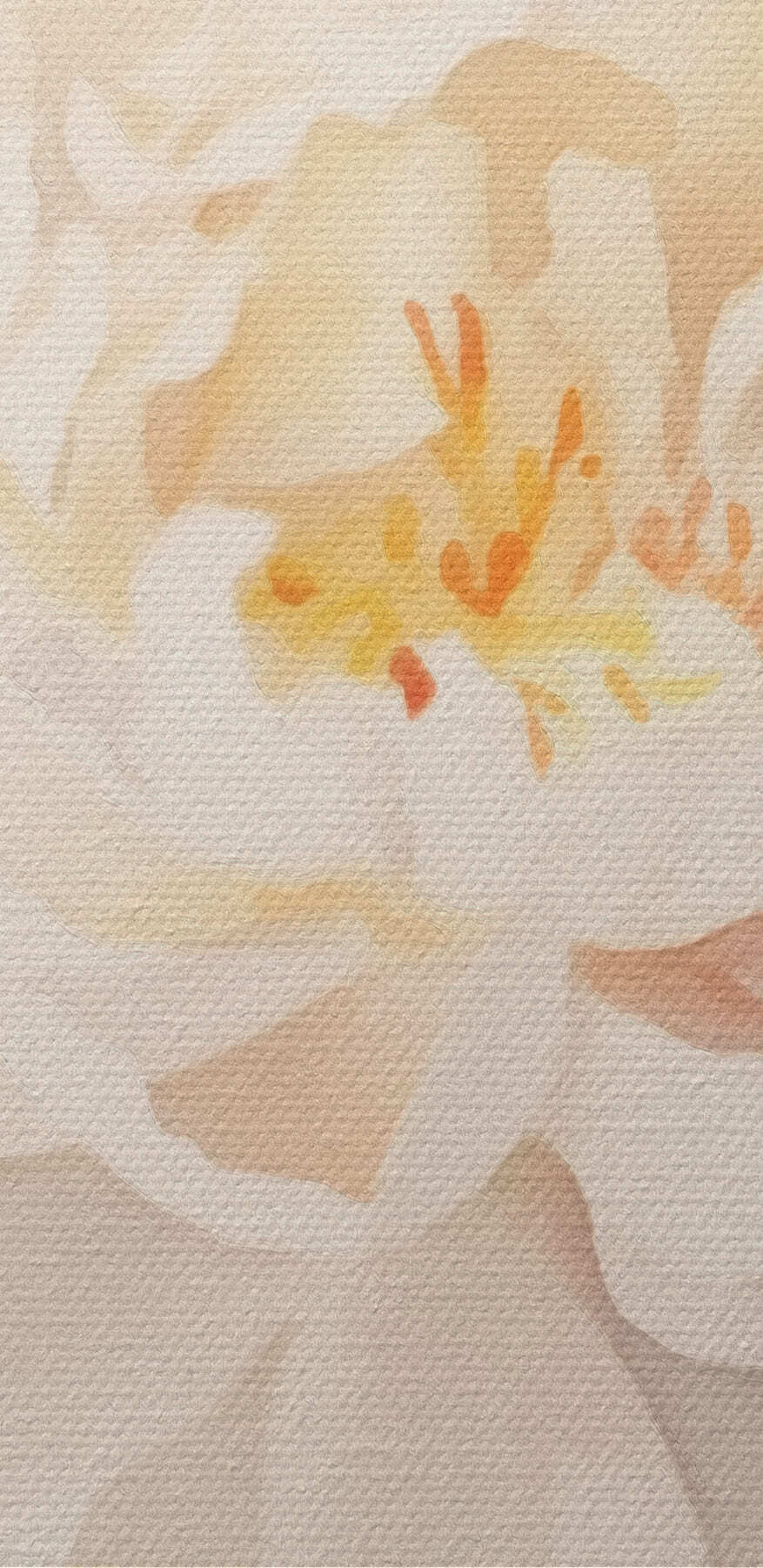 Witte bloem met groene bladeren